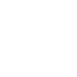 Baby Owl Nest